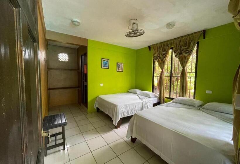 اتاق استاندارد چهار تخته, Los Amigos Jungle Hotel Tortuguero