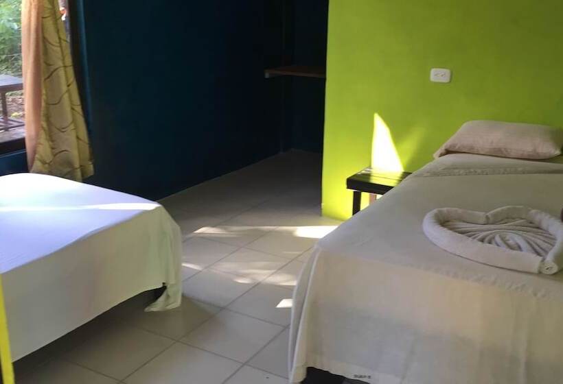 اتاق اکونومی, Los Amigos Jungle Hotel Tortuguero
