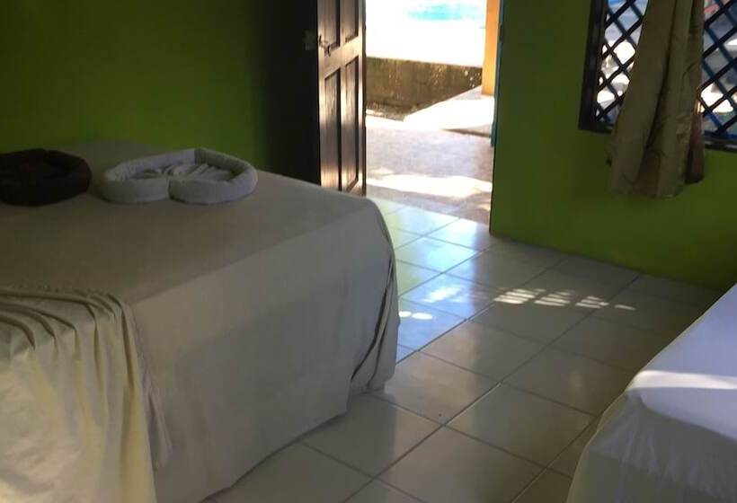 اتاق اکونومی, Los Amigos Jungle Hotel Tortuguero