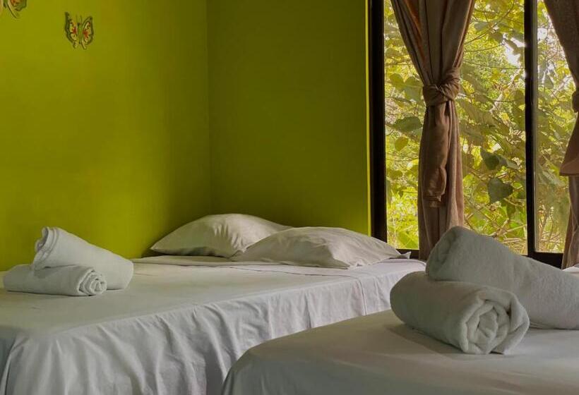 اتاق استاندارد چهار تخته, Los Amigos Jungle Hotel Tortuguero