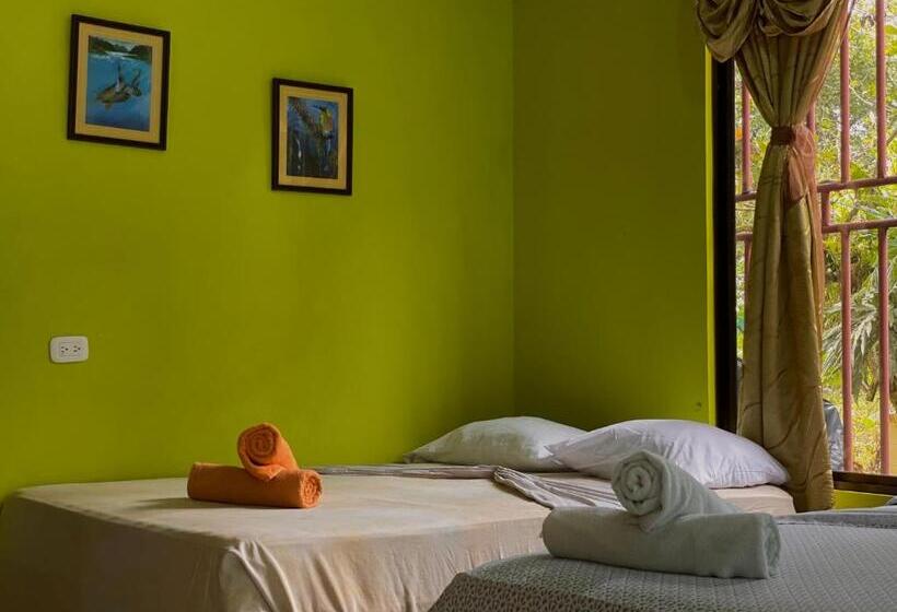 اتاق استاندارد چهار تخته, Los Amigos Jungle Hotel Tortuguero