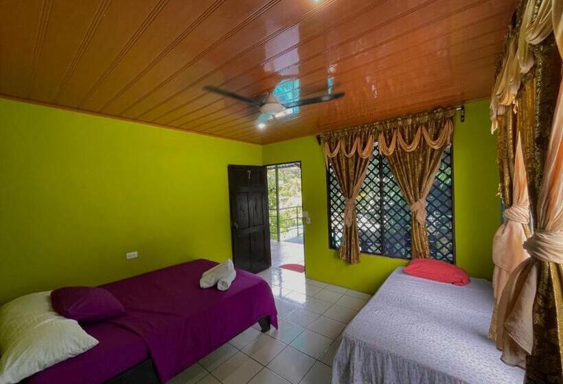 اتاق اکونومی, Los Amigos Jungle Hotel Tortuguero