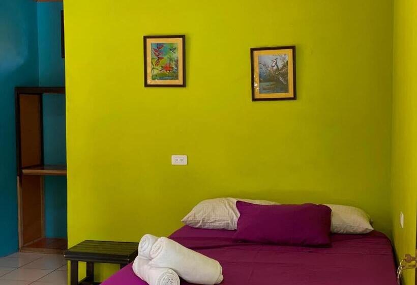 اتاق اکونومی, Los Amigos Jungle Hotel Tortuguero