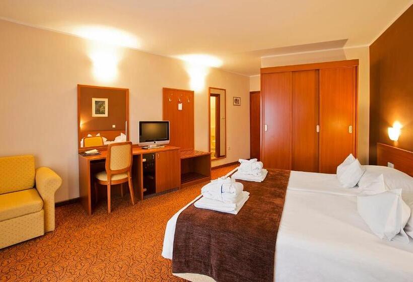 اتاق استاندارد با بالکن, Spa & Wellness Hotel Pinia
