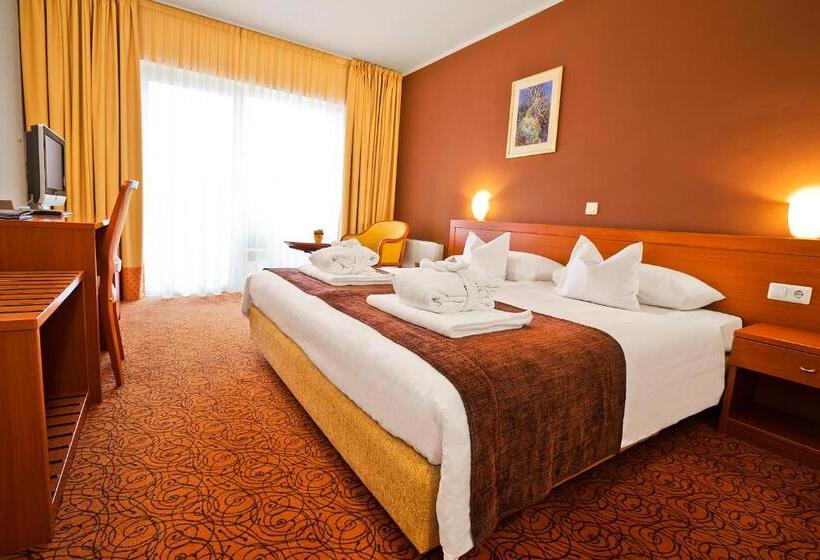 اتاق استاندارد با بالکن, Spa & Wellness Hotel Pinia