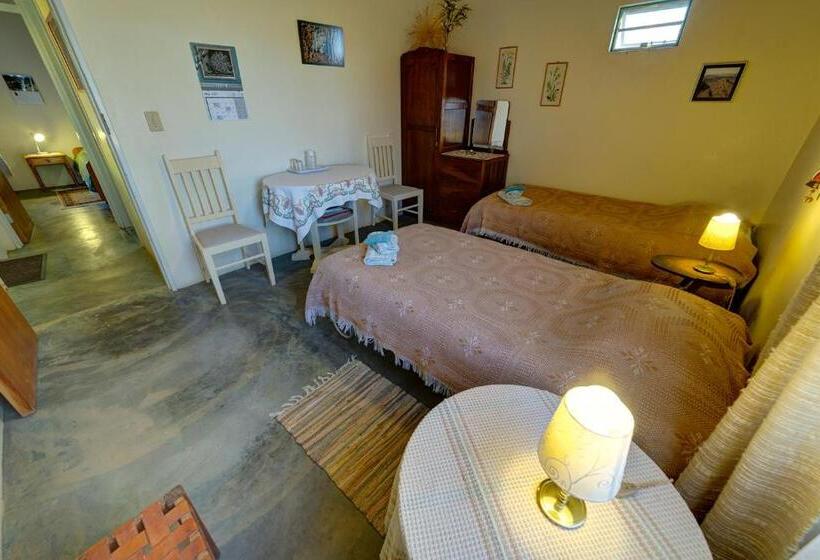 اتاق استاندارد, Gamis Farm