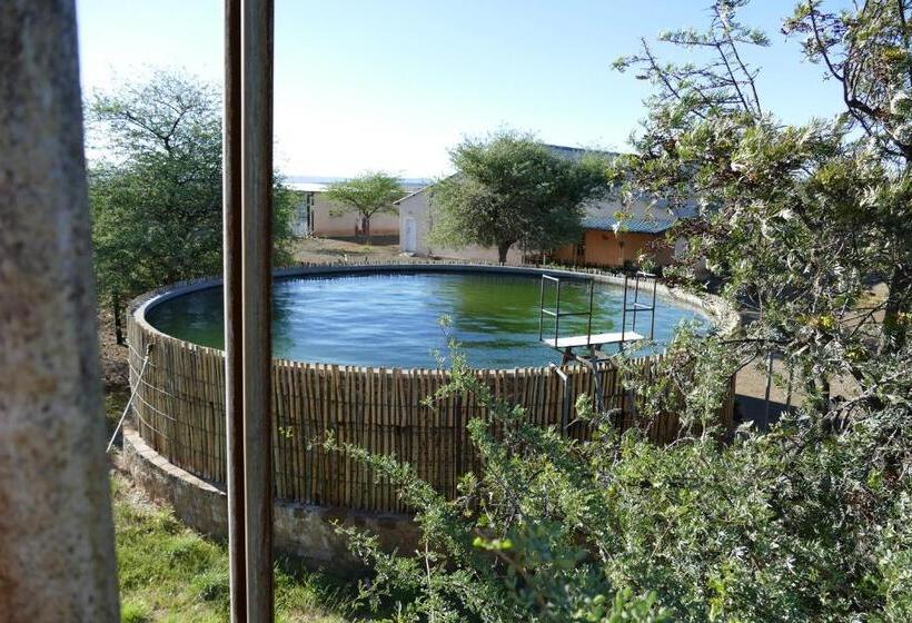 اتاق استاندارد, Gamis Farm