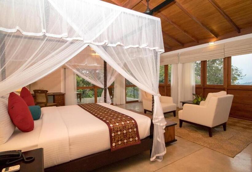 سوییت, Kings Pavilion Luxury
