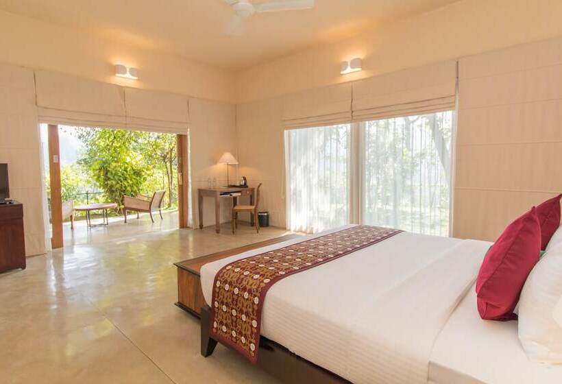 سوییت جونیور, Kings Pavilion Luxury