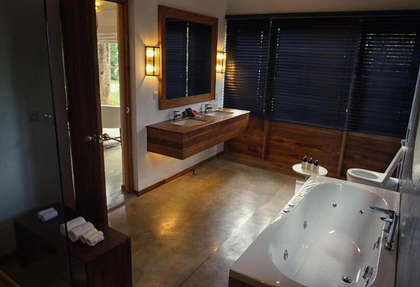 سوییت جونیور, Kings Pavilion Luxury
