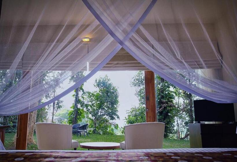 سوییت جونیور, Kings Pavilion Luxury