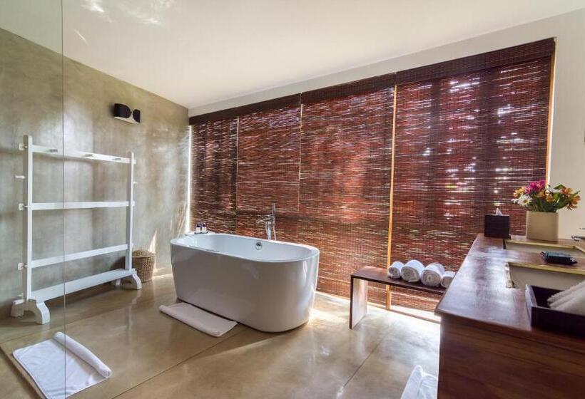 سوییت جونیور, Kings Pavilion Luxury