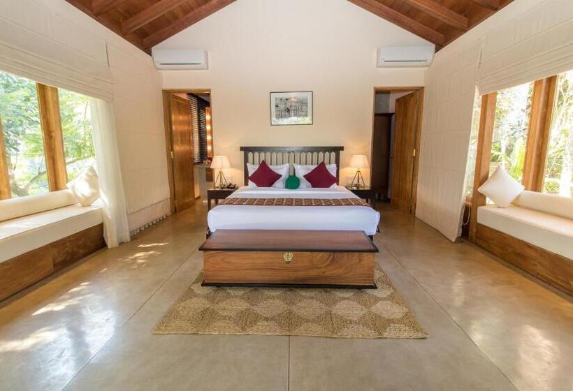 سوییت جونیور, Kings Pavilion Luxury