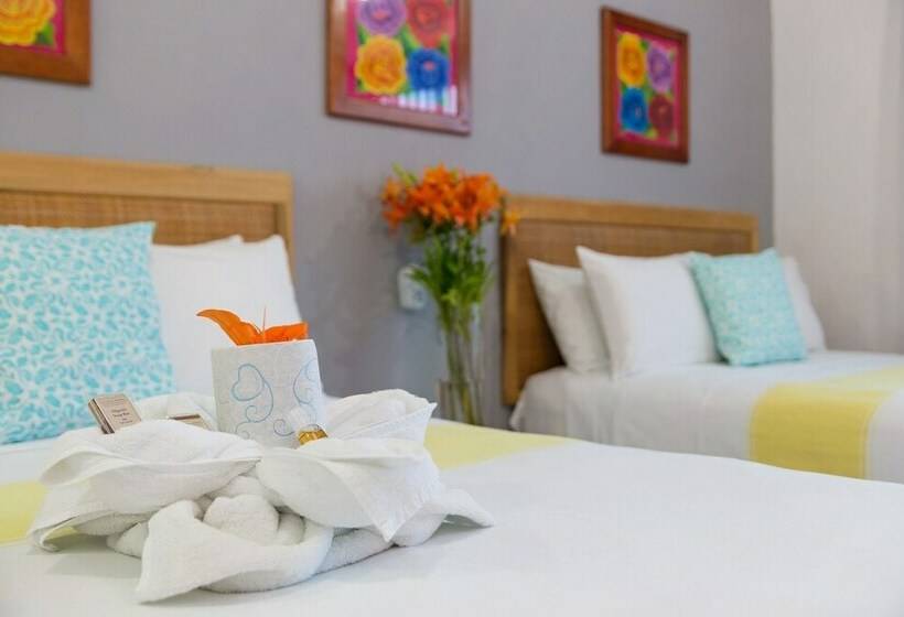 استودیو استاندارد با تخت کینگ, San Vicente