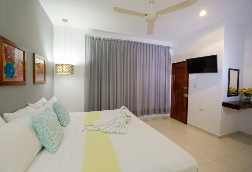 استودیو استاندارد با تخت کینگ, San Vicente
