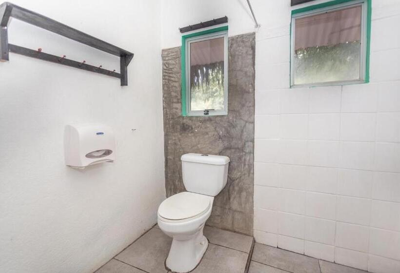 اتاق پایه با سرویس بهداشتی مشترک, Selina Santa Teresa North   Hostel
