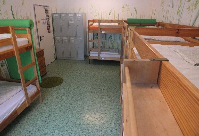 מיטה בחדר משותף, Max Hostel