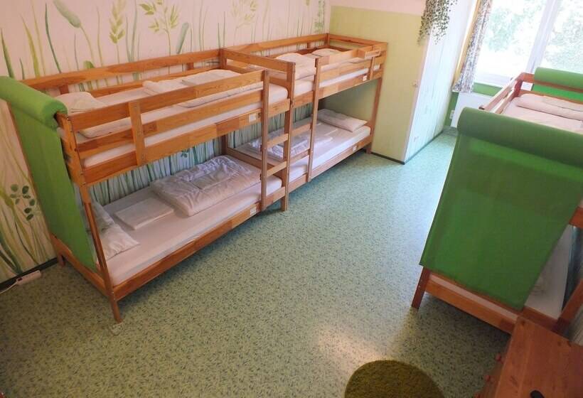 מיטה בחדר משותף, Max Hostel
