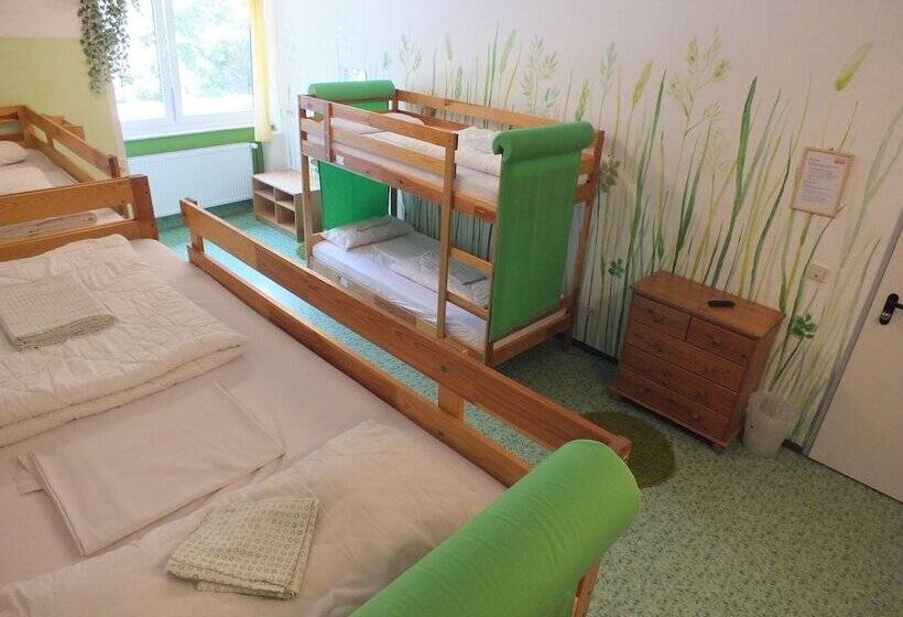 מיטה בחדר משותף, Max Hostel