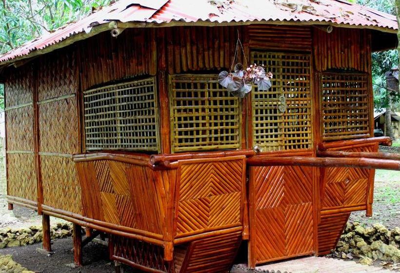 اتاق استاندارد, Al Hamra Jungle Resort