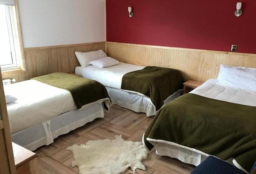 اتاق استاندارد سه نفره, Hostal Andes Patagonicos