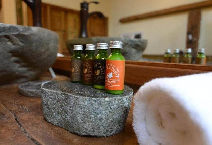 اتاق سوپریور با تخت بزرگ, Desa Alamanis Resort Villa