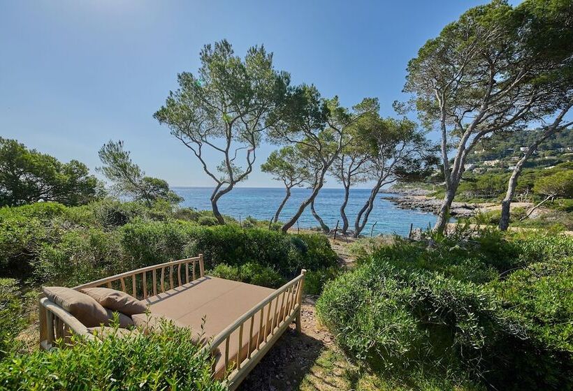 سوییت سوپریور با چشم‌انداز دریا, Pleta De Mar, Grand Luxury Hotel By Nature   Adults Only