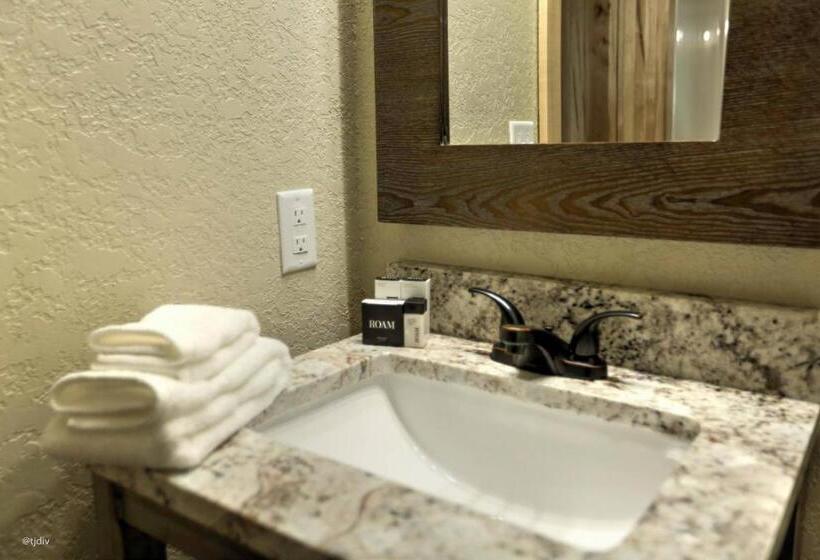 Deluxe Suite King Bed, Roam Inn