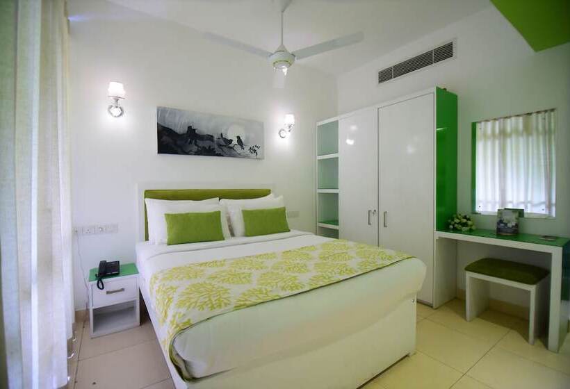 اتاق استاندارد, Thilhara Days Inn