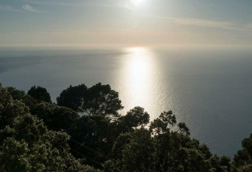 اتاق سوپریور با چشم‌انداز دریا, Bordoy Continental Valldemossa