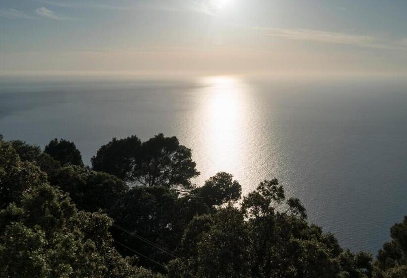 اتاق سوپریور, Bordoy Continental Valldemossa
