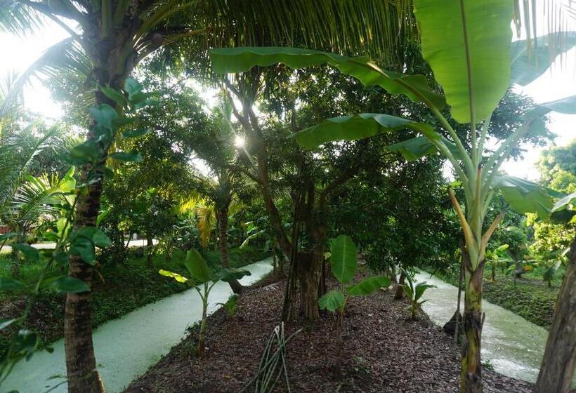 اتاق استاندارد سه نفره, Meephawa Resort