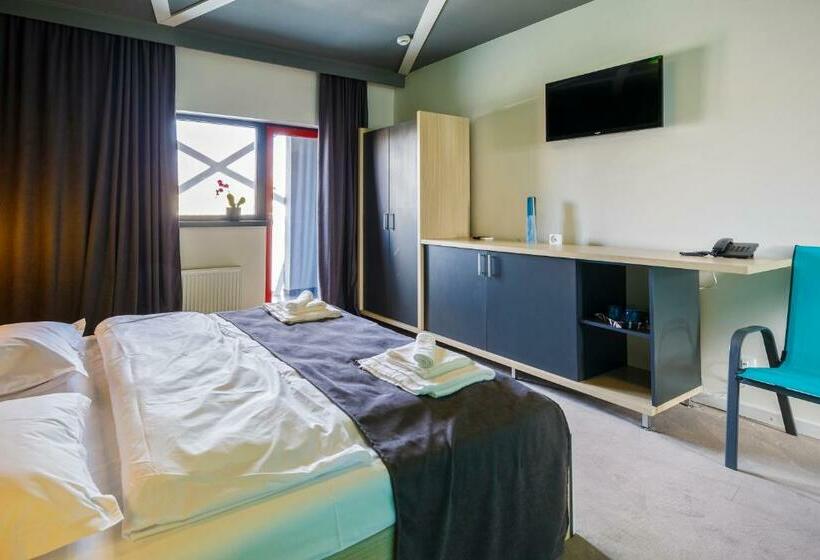 اتاق استاندارد با تخت بزرگ, Net Hotel Pitesti