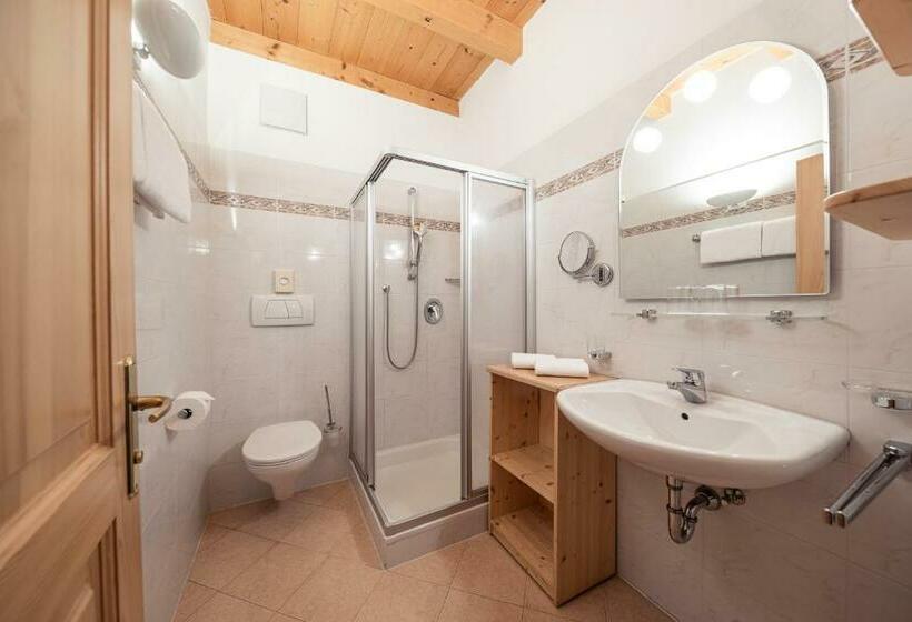 اتاق استاندارد یک نفره, Torgglhof