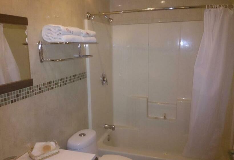اتاق استاندارد با 2 تخت دوبل, Oliver Inn   Business Class