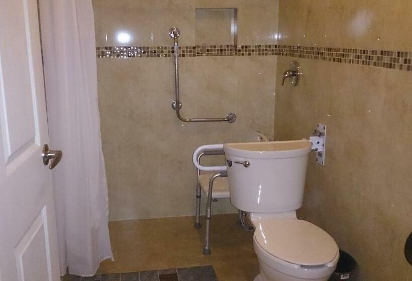 اتاق استاندارد با 2 تخت دوبل, Oliver Inn   Business Class