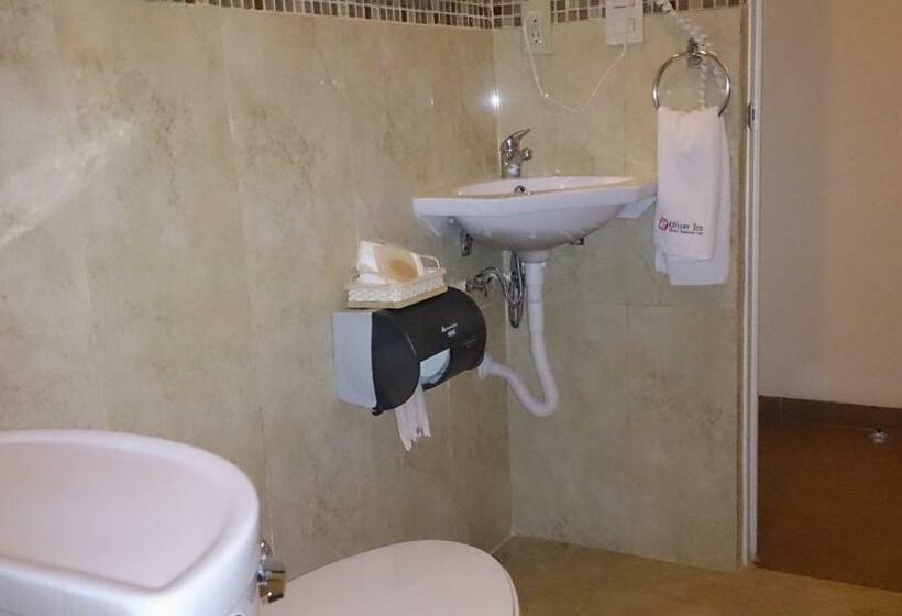 اتاق استاندارد با 2 تخت دوبل, Oliver Inn   Business Class