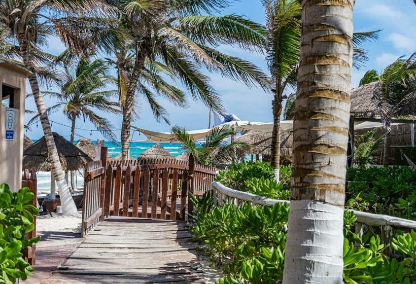 プールビュースイート, Villa Las Estrellas Tulum  Located At The Party Zone