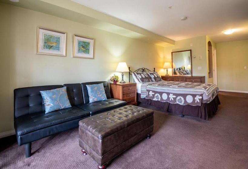 استودیوی استاندارد, Borgata Lodge Resort