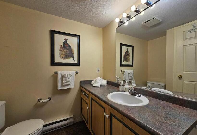 استودیوی استاندارد, Borgata Lodge Resort