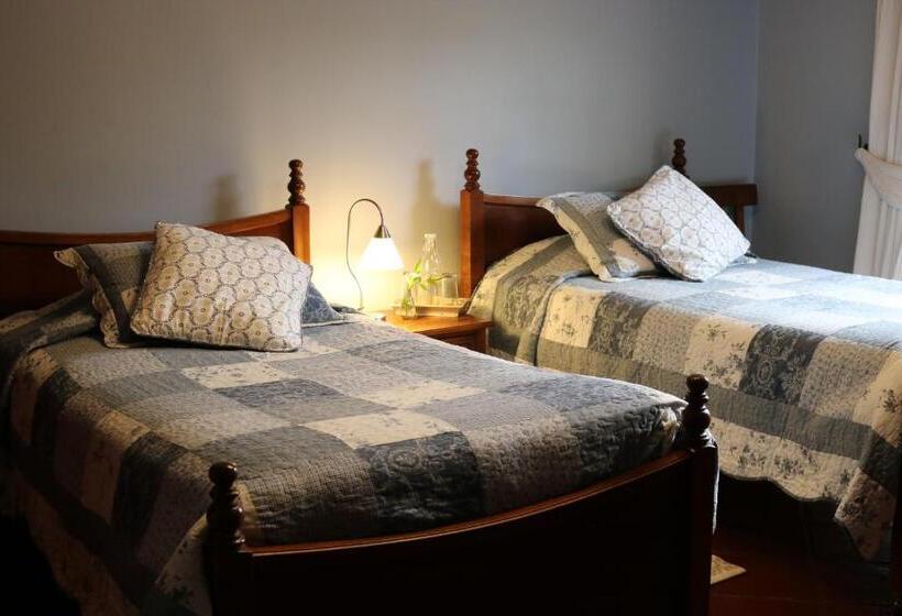 آپارتمان 2 خوابه, Boutique Solaz Bella Vista De Colchagua