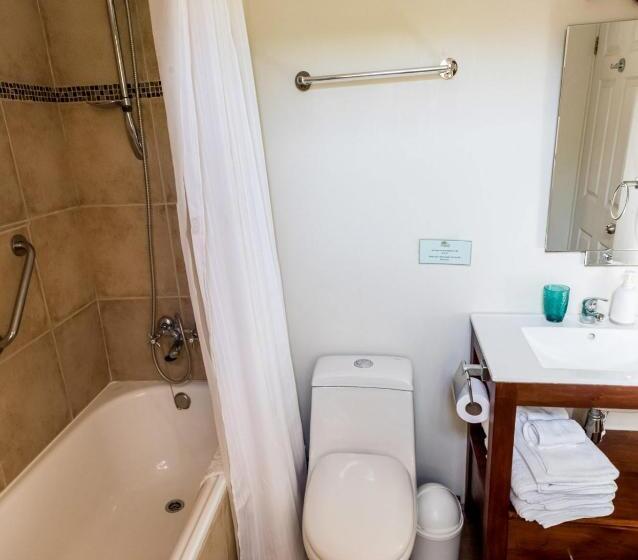 اتاق سوپریور, Boutique Solaz Bella Vista De Colchagua