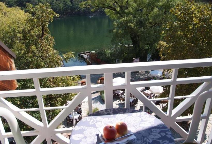 اتاق استاندارد یک نفره, Seehotel Sparer