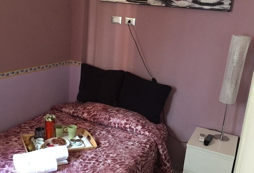 اتاق استاندارد یک نفره, B&b Spqr