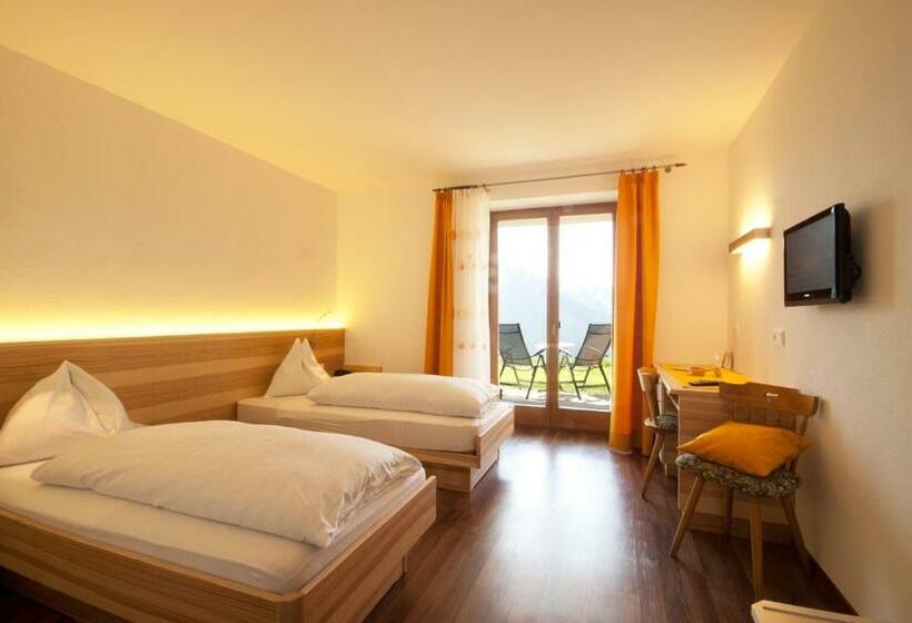 اتاق استاندارد با چشم‌انداز کوهستان, Alpenhotel Ratsberg 1650m