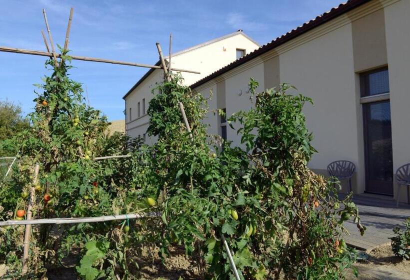 سوییت, Resort Il Gallo Senone