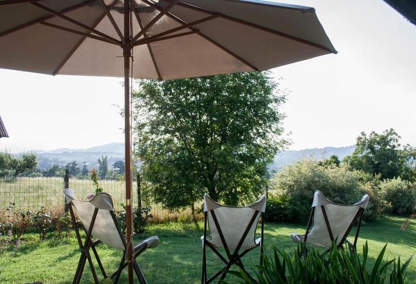 اتاق استاندارد با تراس, B&b Puntodivista