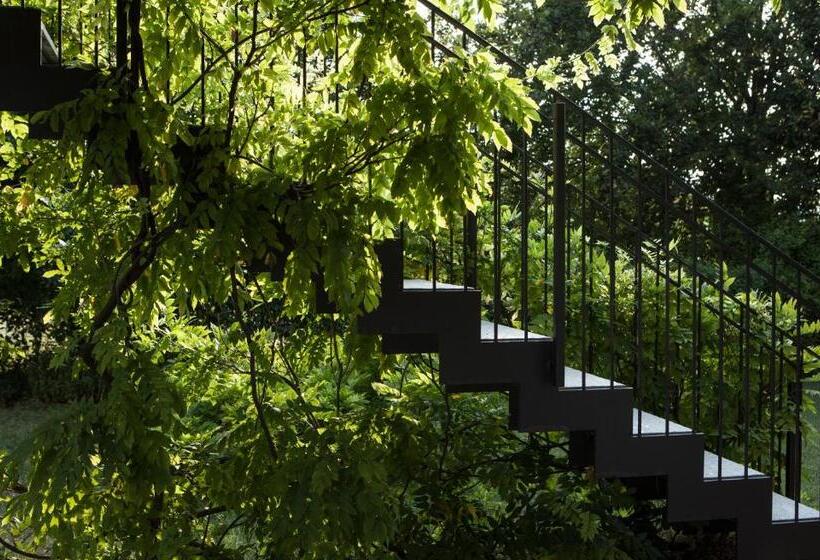 اتاق استاندارد با تراس, B&b Puntodivista