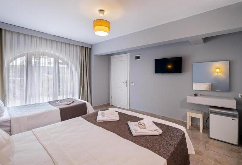 Economy Triple Room, Himm