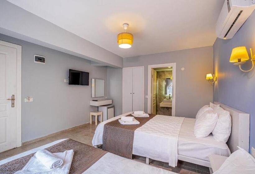 Economy Triple Room, Himm